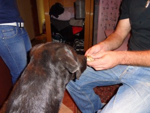 Bingo mit dem Froschkönig der sich in unser Haus geschlichen hat